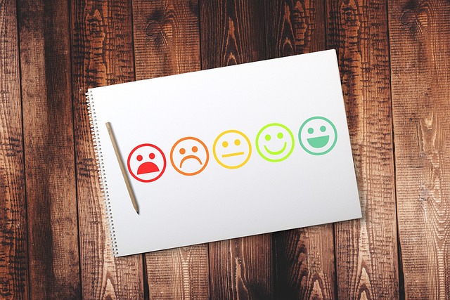 smileys feedback